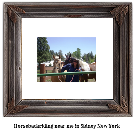 horseback riding near me in Sidney, New York